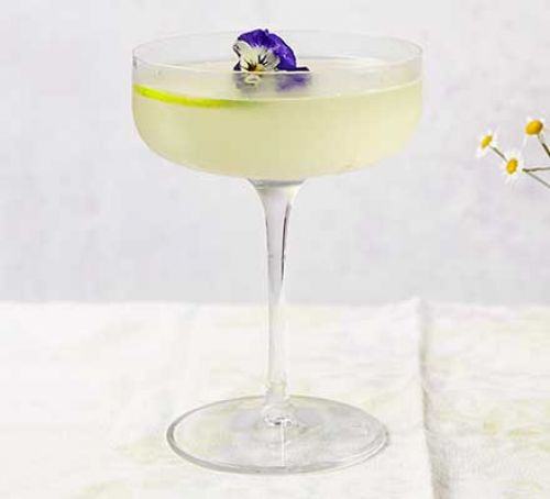 Gimlet cocktail