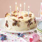 Birthday bug cake